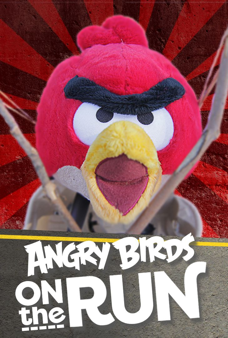Poster for Angry Birds on The Run